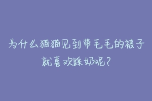 为什么猫猫见到带毛毛的被子就喜欢踩奶呢？-动物百科