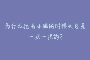 为什么抱着小猫的时候头总是一拱一拱的？-动物百科