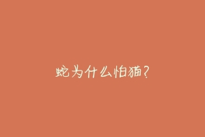 蛇为什么怕猫？-动物百科