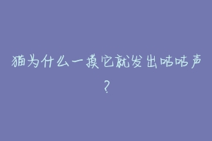 猫为什么一摸它就发出咕咕声？-动物百科