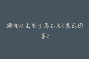 猫咪吐出虫子怎么办?怎么回事?-动物百科