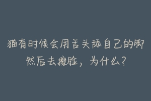 猫有时候会用舌头舔自己的脚然后去擦脸,为什么?-动物百科