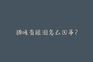 猫咪有眼泪怎么回事?-动物百科
