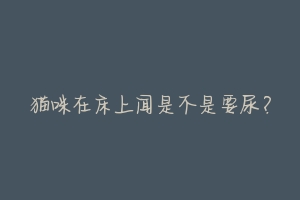 猫咪在床上闻是不是要尿?-动物百科