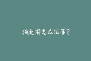 猫流泪怎么回事?-动物百科