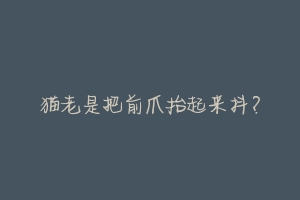 猫老是把前爪抬起来抖?-动物百科