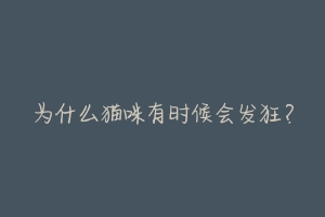 为什么猫咪有时候会发狂?-动物百科