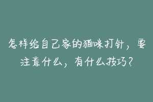 怎样给自己家的猫咪打针,要注意什么,有什么技巧?-动物百科
