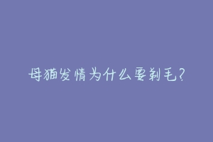 母猫发情为什么要剃毛?-动物百科
