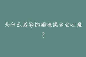 为什么我家的猫咪偶尔会吐痰?-动物百科