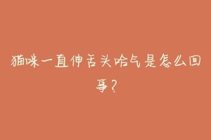 猫咪一直伸舌头哈气是怎么回事?