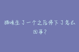 猫咪生了一个之后停下了怎么回事？