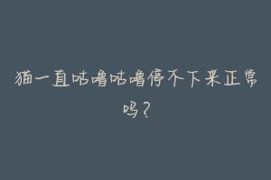 猫一直咕噜咕噜停不下来正常吗?