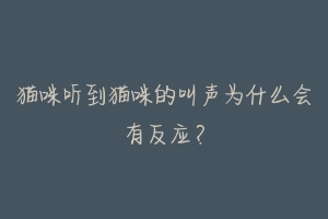猫咪听到猫咪的叫声为什么会有反应?