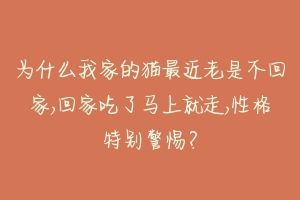 为什么我家的猫最近老是不回家,回家吃了马上就走,性格特别警惕？