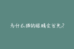 为什么猫的眼睛会发光？