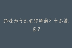 猫咪为什么会得猫癣?什么原因?