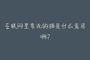 互联网里常说的猫是什么意思啊?