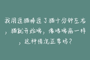 我用逗猫棒逗了猫十分钟左右，猫就开始喘，像哮喘病一样，这种情况正常吗？