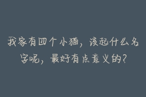 我家有四个小猫,该起什么名字呢,最好有点意义的?