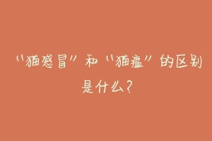 “猫感冒”和“猫瘟”的区别是什么?