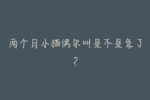两个月小猫偶尔叫是不是急了?