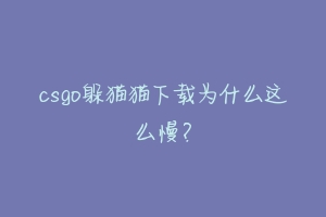 csgo躲猫猫下载为什么这么慢？-动物百科