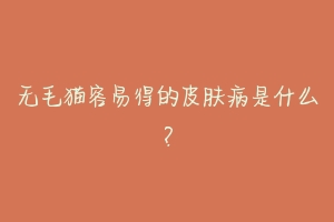 无毛猫容易得的皮肤病是什么?