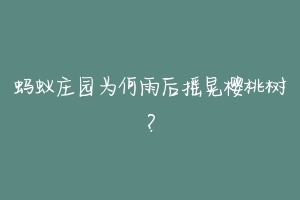 蚂蚁庄园为何雨后摇晃樱桃树?