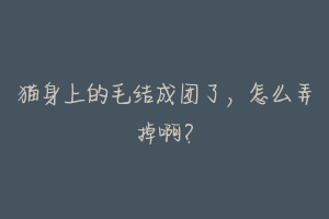 猫身上的毛结成团了,怎么弄掉啊?