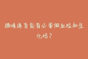 猫咪绝育前有必要做血检和生化吗?