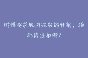 时候要求肌肉注射的针剂,猫肌肉注射哪?