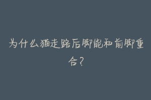 为什么猫走路后脚能和前脚重合?