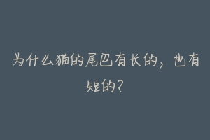 为什么猫的尾巴有长的,也有短的?-动物百科
