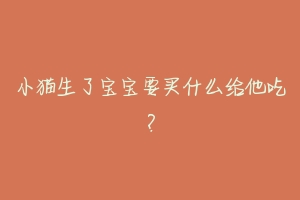 小猫生了宝宝要买什么给他吃?