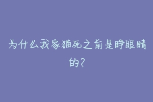 为什么我家猫死之前是睁眼睛的?