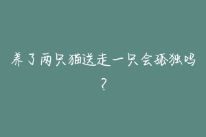 养了两只猫送走一只会孤独吗?