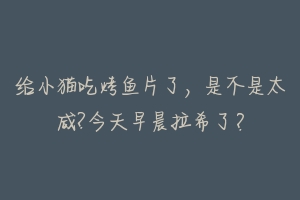 给小猫吃烤鱼片了，是不是太咸?今天早晨拉希了？-动物百科
