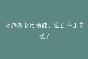 母猫绝育后嗜睡,这正不正常呢?-动物百科