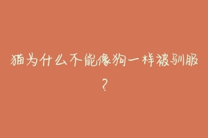 猫为什么不能像狗一样被驯服?-动物百科