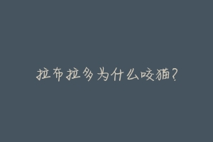 拉布拉多为什么咬猫?-动物百科