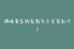 猫咪要生的前期多久会有乳汁?-动物百科