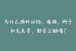 为什么猫科动物,像猫,狮子和老虎等,都是三瓣嘴?-动物百科