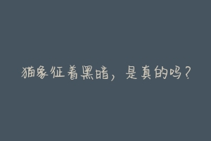 猫象征着黑暗，是真的吗？-动物百科
