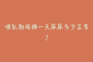 哺乳期母猫一天尿尿多少正常？-动物百科