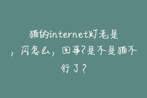 猫的internet灯老是,闪怎么,回事?是不是猫不行了?-动物百科