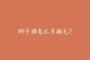 狮子猫怎么养胸毛?-动物百科