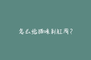 怎么给猫咪剃肛周?-动物百科