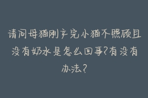 请问母猫刚产完小猫不照顾且没有奶水是怎么回事?有没有办法?-动物百科