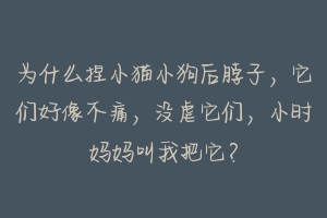 为什么捏小猫小狗后脖子，它们好像不痛，没虐它们，小时妈妈叫我把它？-动物百科